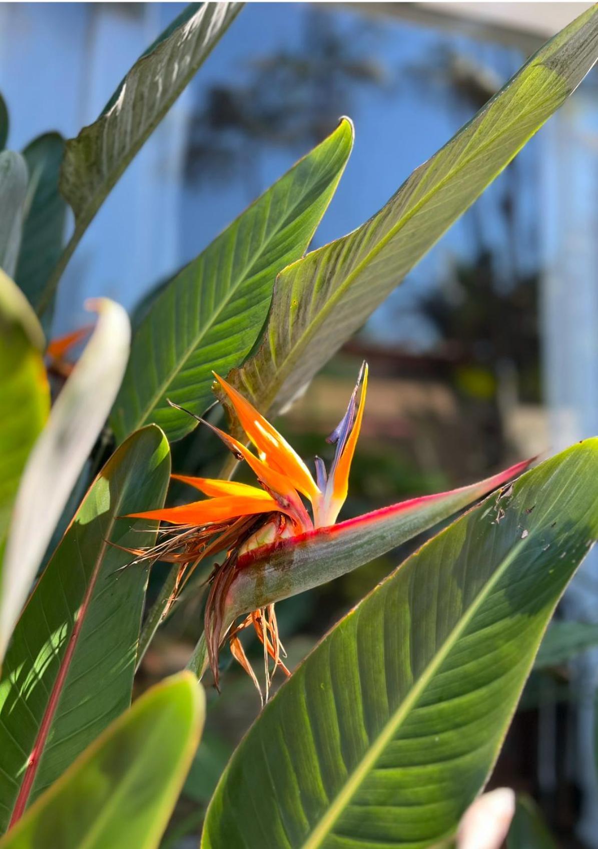 Hotel Casa Paradiso Guaruja Luaran gambar